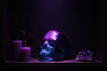 Extra Large Resin Skull lifestyle