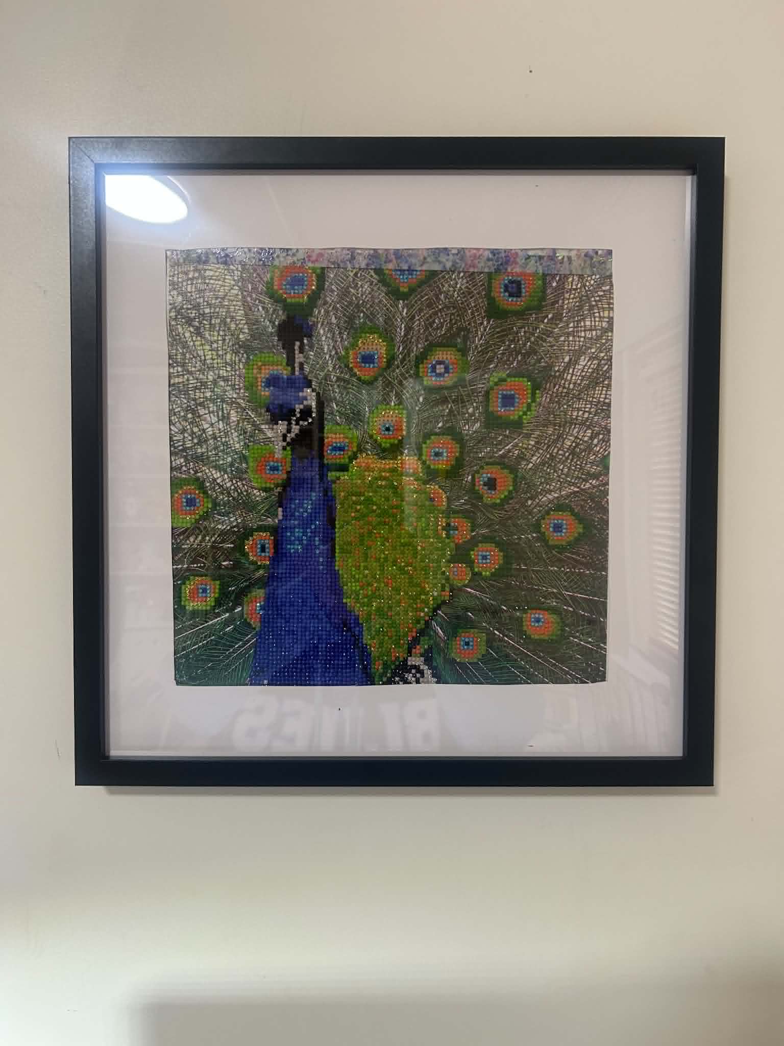 Peacock Diamond Art - Framed 16" x 16"